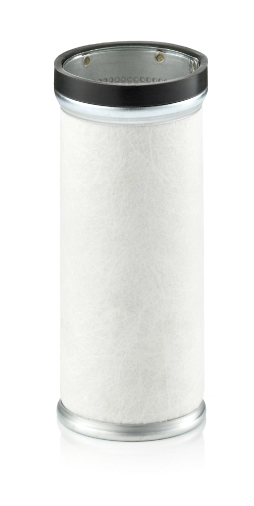 Secondary Air Filter