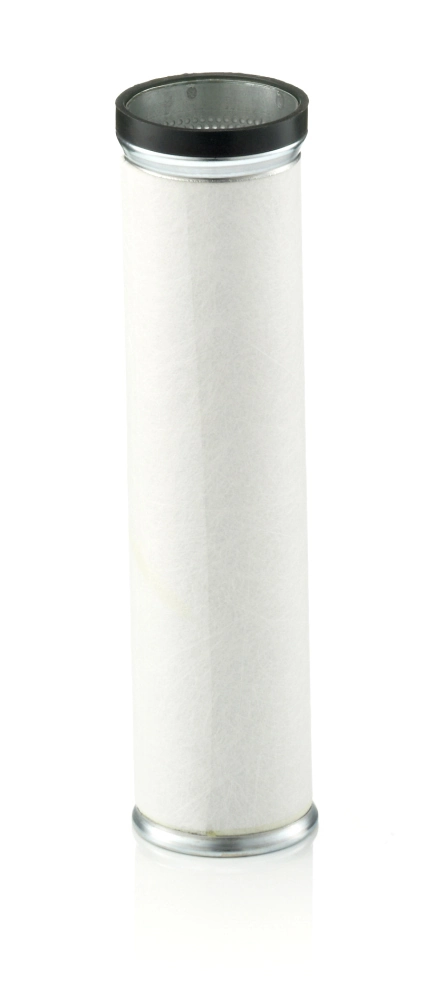 Secondary Air Filter