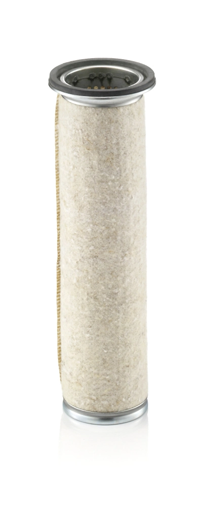 Secondary Air Filter