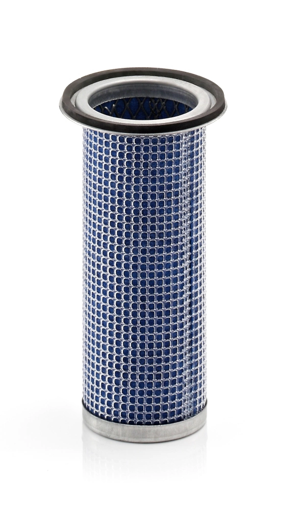 Secondary Air Filter