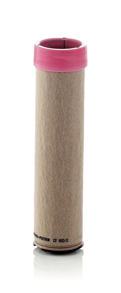 Secondary Air Filter