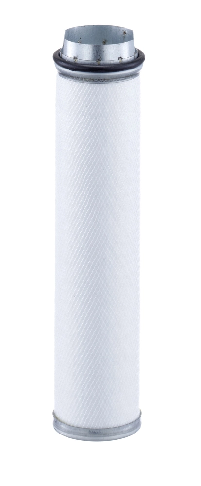 Secondary Air Filter