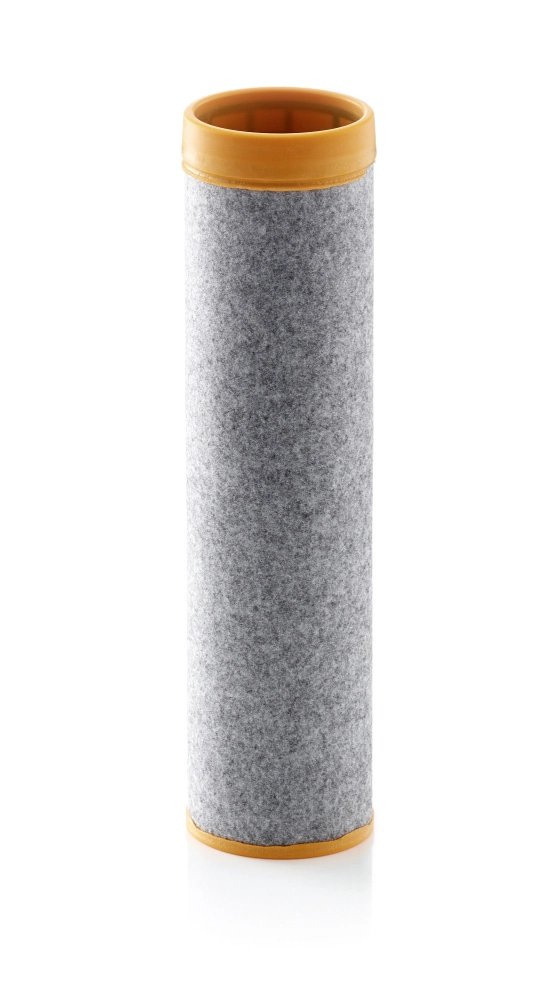 Secondary Air Filter