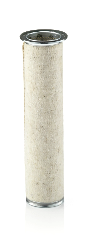 Secondary Air Filter
