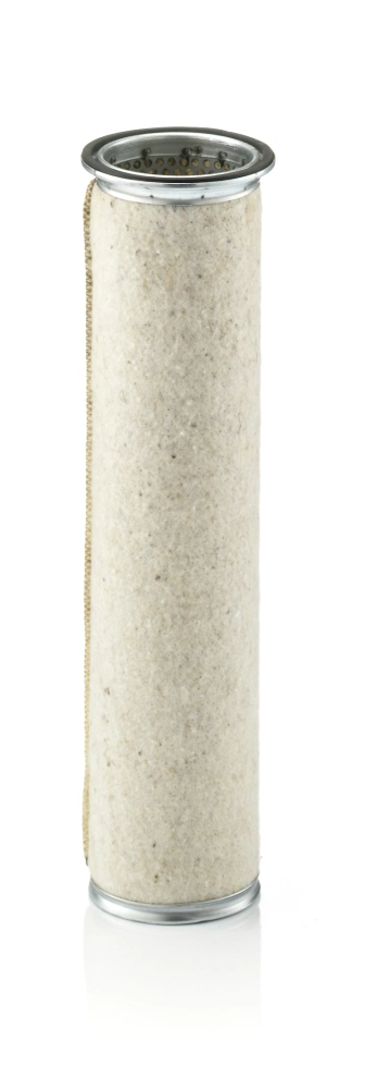 Secondary Air Filter