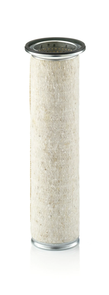 Secondary Air Filter