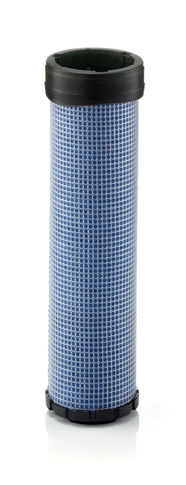 Secondary Air Filter