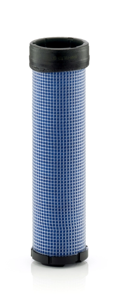 Secondary Air Filter