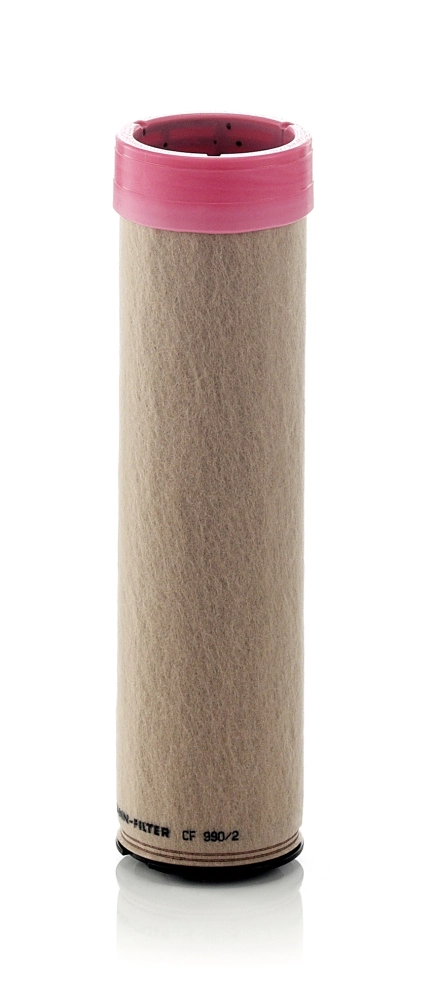 Secondary Air Filter