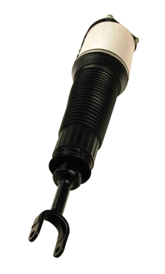 Air Suspension Strut