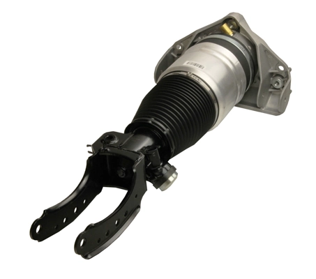 Air Suspension Strut