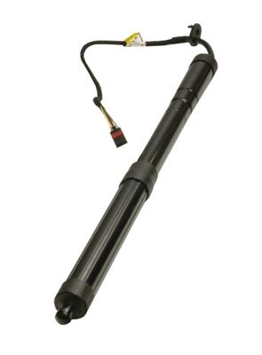 Gas Spring, tray (boot/cargo bay)