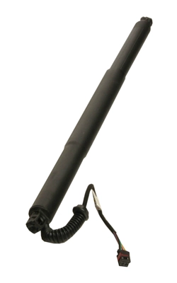 Gas Spring, tray (boot/cargo bay)