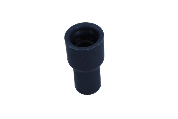 Plug, coil