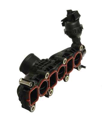 Manifold, exhaust system