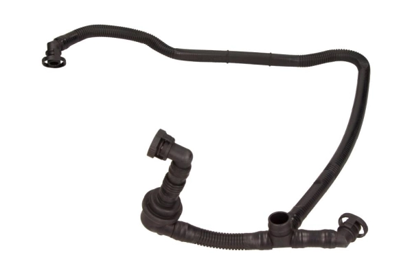 Hose, cylinder head cover ventilation