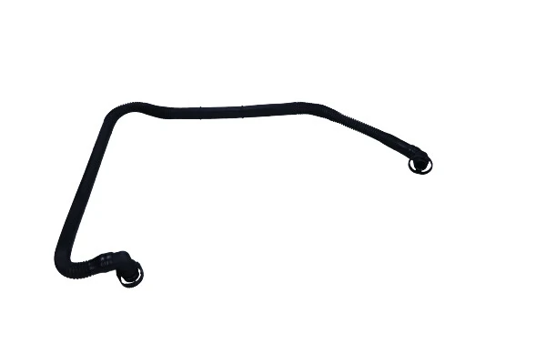 Hose, cylinder head cover ventilation