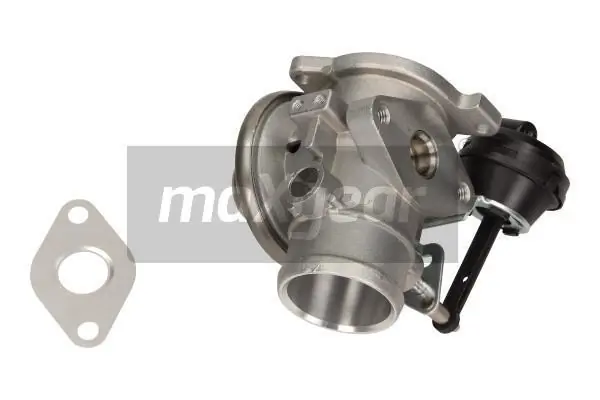EGR Valve