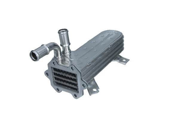 EGR Module