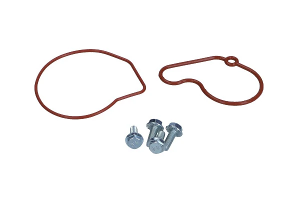 Repair Set, vacuum pump (braking system)
