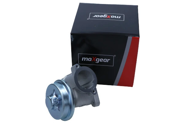 EGR Valve