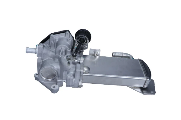 EGR Module