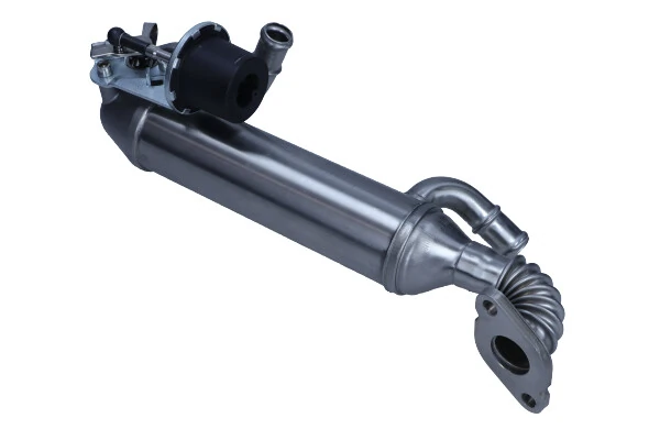 EGR Module