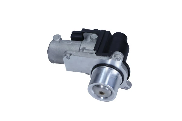EGR Module