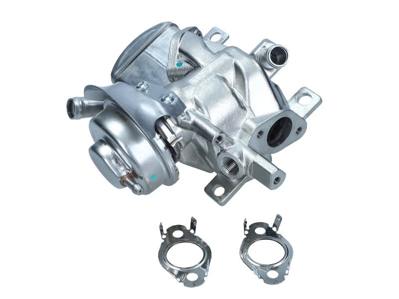 EGR Module