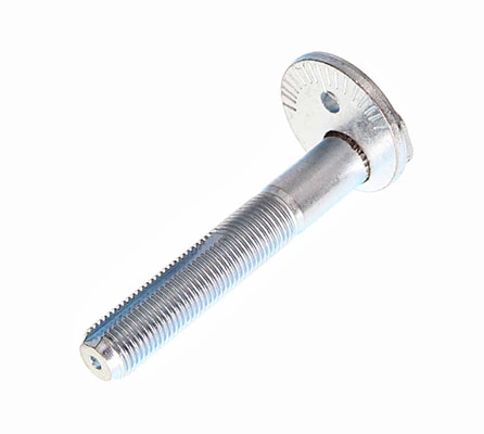 Camber Correction Screw