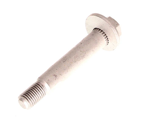 Camber Correction Screw