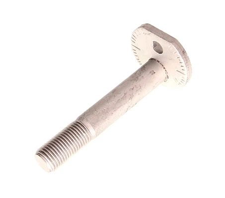 Camber Correction Screw