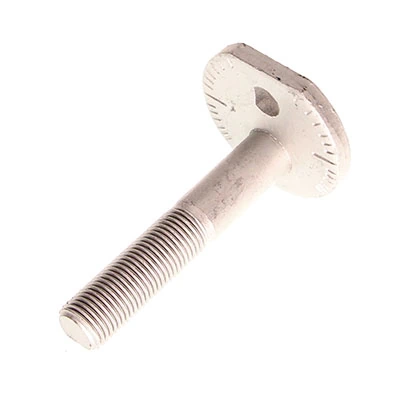 Camber Correction Screw