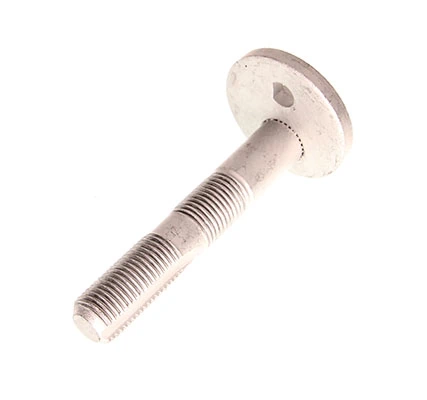 Camber Correction Screw