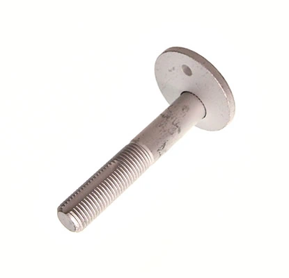 Camber Correction Screw