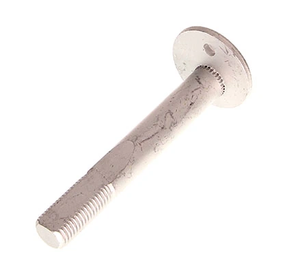 Camber Correction Screw