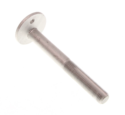 Camber Correction Screw