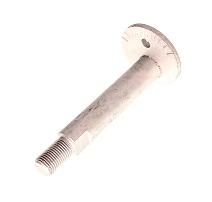 Camber Correction Screw