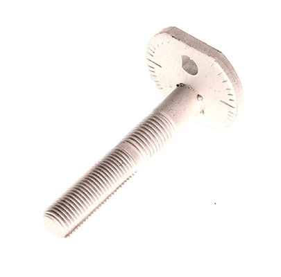 Camber Correction Screw