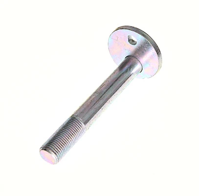 Camber Correction Screw