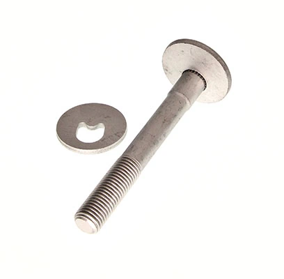 Camber Correction Screw