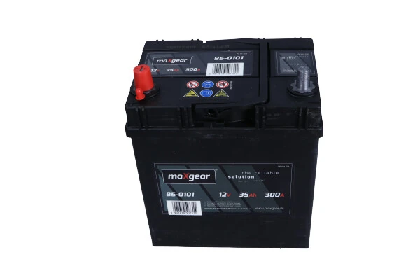Starter Battery