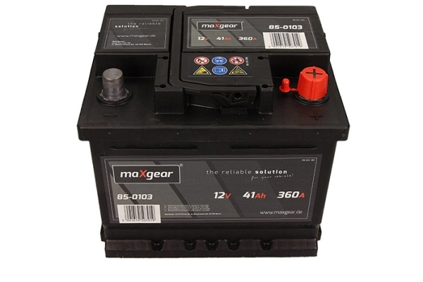 Starter Battery