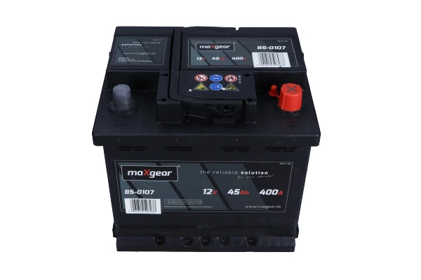 Starter Battery