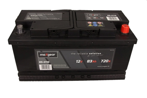 Starter Battery