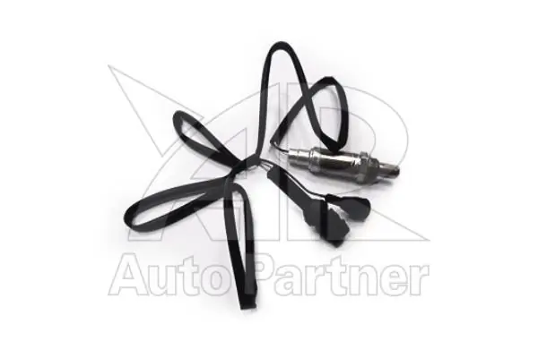 Oxygen Sensor