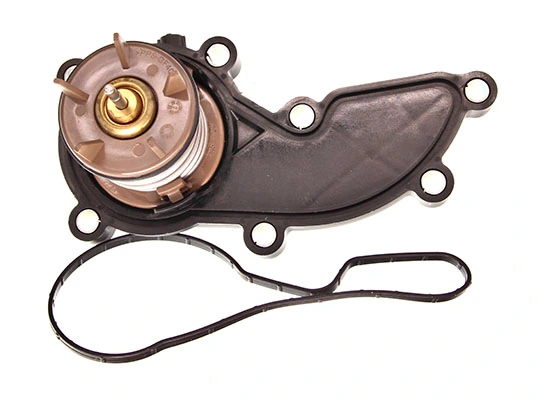 Thermostat, coolant
