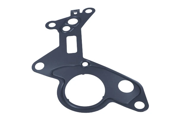 Gasket, vacuum pump