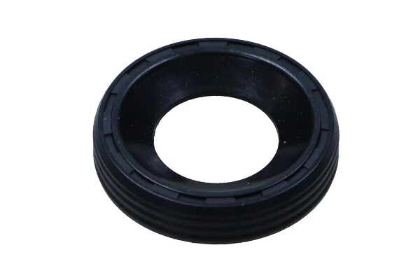 Seal, injector holder