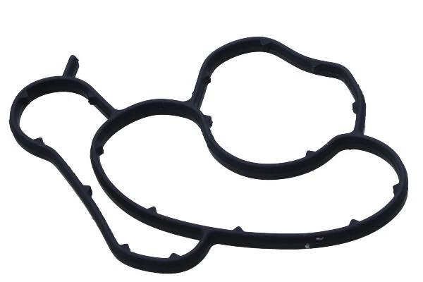 Gasket, oil filter housing